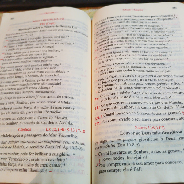 Duas páginas abertas de um livro, com textos em português. O texto parece ser de natureza religiosa, possivelmente um livro de orações ou uma bíblia. Há títulos e subtítulos em negrito, e o texto está formatado em parágrafos e versos. A página da esquerda contém trechos como «Meditação sobre a Palavra de Deus na Lei» e «Cântico da vitória após a passagem do Mar Vermelho». A página da direita contém trechos como «Sábado - Laudes» e «Louvor ao Deus misericordioso». Descrição fornecida por @altbot com uma leve edição minha.